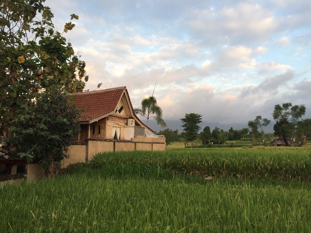 Kubu Reod Appartement Singaraja Buitenkant foto